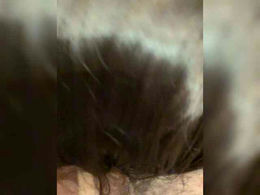 Malvina-Buratino past broadcast snapshot