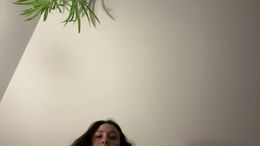 miaxxoxo past broadcast snapshot