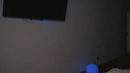 angelicaheaven past broadcast snapshot