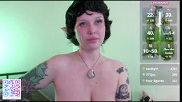 spivi past broadcast snapshot