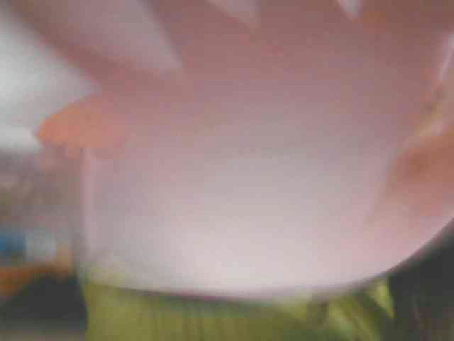 DaddysLitlleSecret live webcam preview