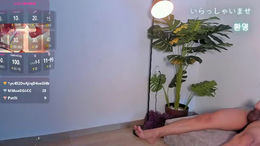 evelyn_harper_ past broadcast snapshot