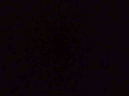 Izwrat1984 past broadcast snapshot