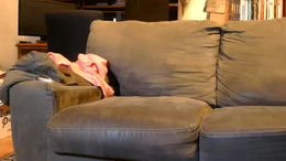 mistymountains96 past broadcast snapshot