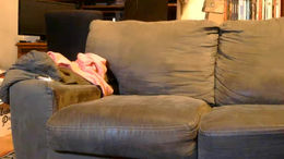 mistymountains96 past broadcast snapshot