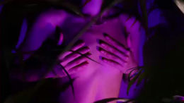 ajuicyanastasia past broadcast snapshot