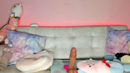 tiny_cora past broadcast snapshot