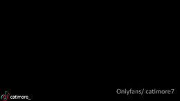 catimore past broadcast snapshot