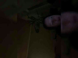 Lilialis past broadcast snapshot