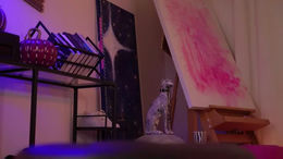 informal_ past broadcast snapshot