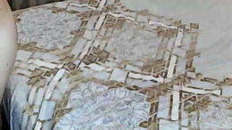 alexhabb past broadcast snapshot