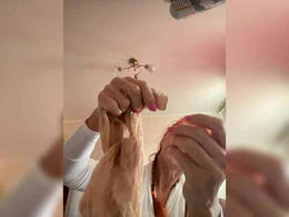 Ritia past broadcast snapshot