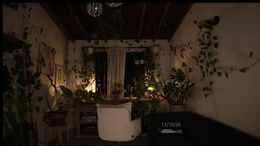 effylowell_ past broadcast snapshot