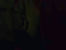 Pinkipink past broadcast snapshot