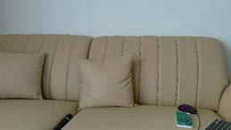 olivecum past broadcast snapshot