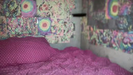lorikane past broadcast snapshot