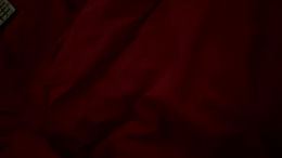 unknownuser10082 past broadcast snapshot