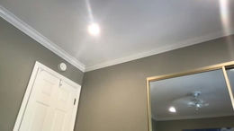 texas_blonde past broadcast snapshot