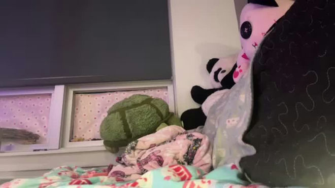 tobypanda666 live webcam preview