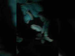 Lizzy2002 webcam thumbnail