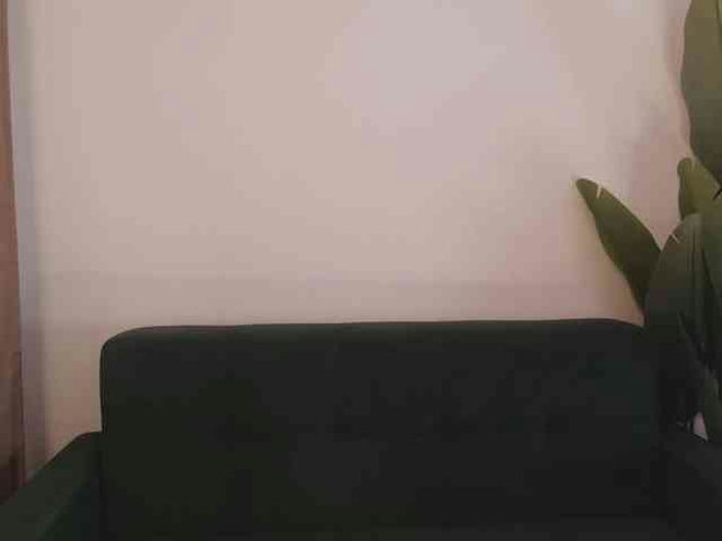 MsMelania live webcam preview