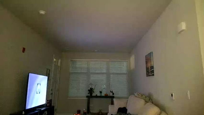amynicoleee live webcam preview