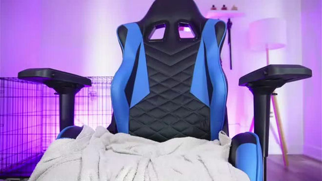 evasavage live webcam preview