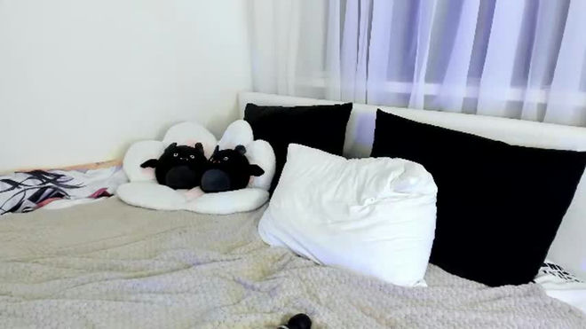 white_do11 live webcam preview