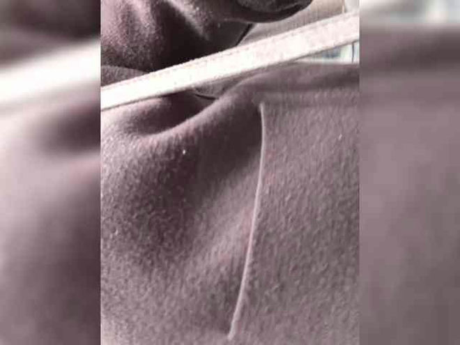 pupaa live webcam preview