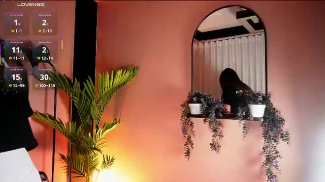 nanis_dash live webcam preview