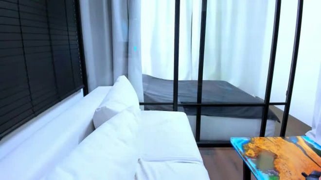 project_barbara live webcam preview