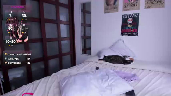 sumeragi_cat live webcam preview