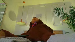 bella__donne webcam thumbnail