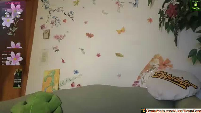 aliceriverscam live webcam preview
