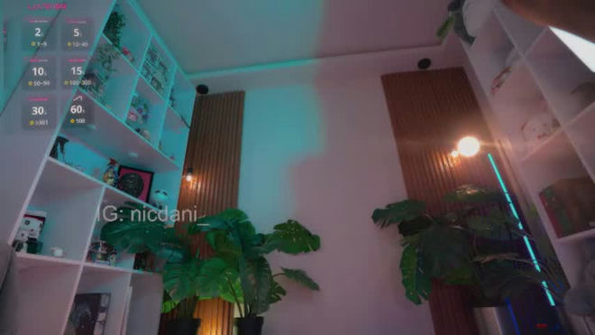 nicdani_1 live webcam preview