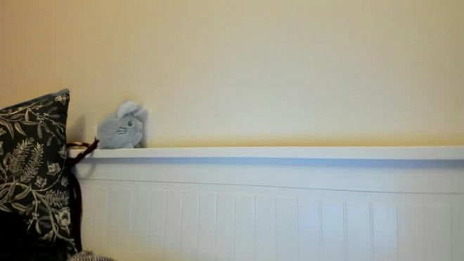 petiteannax live webcam preview