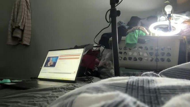 breknbrynn live webcam preview