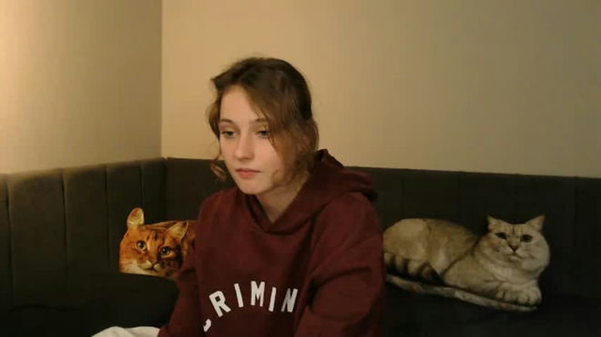 adaader live webcam preview