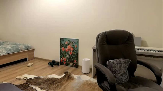 pamulahallquist live webcam preview