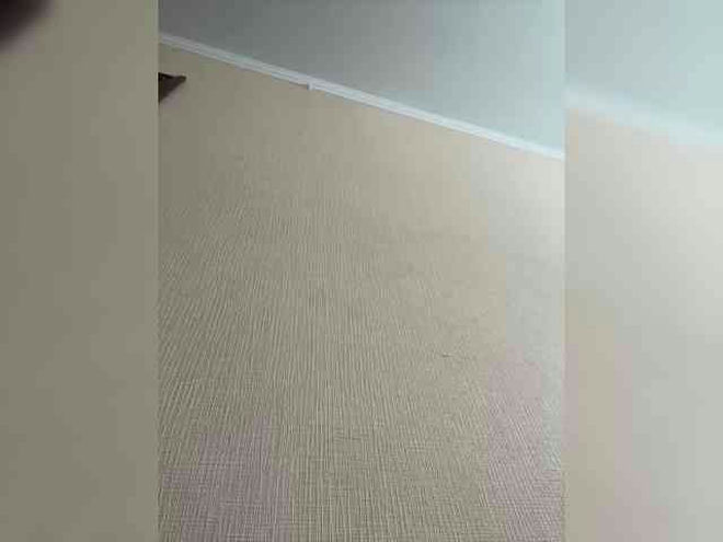 Bunnyb live webcam preview