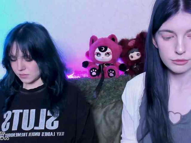 SleepingDuo live webcam preview