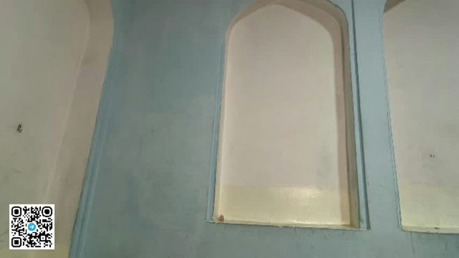 dianapatterson live webcam preview