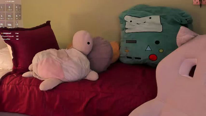 jelly_w5 live webcam preview