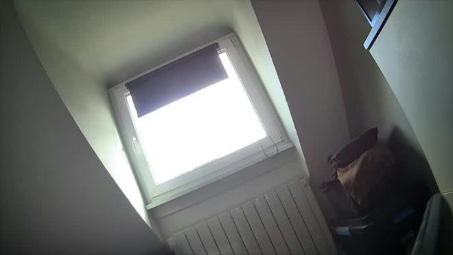 frenchbeardman live webcam preview