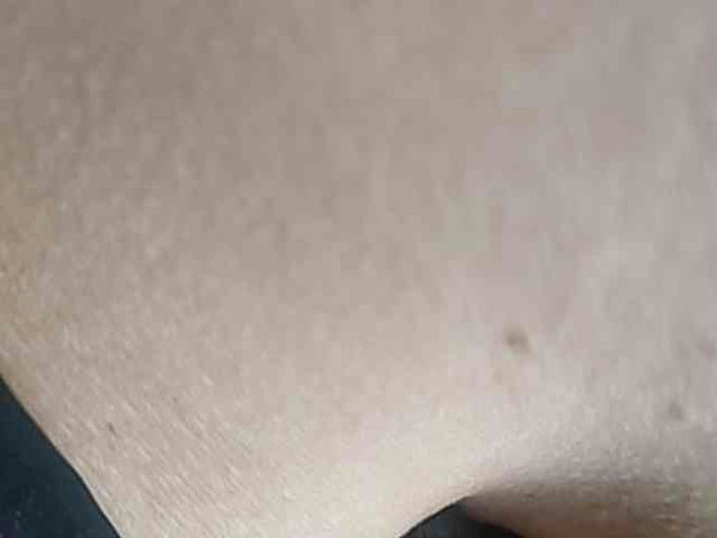 SonoVergine live webcam preview