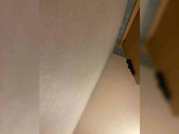 Oxxikssa webcam thumbnail