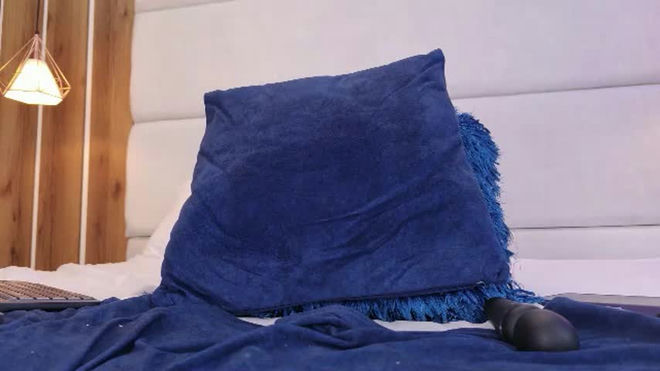 larabrook live webcam preview