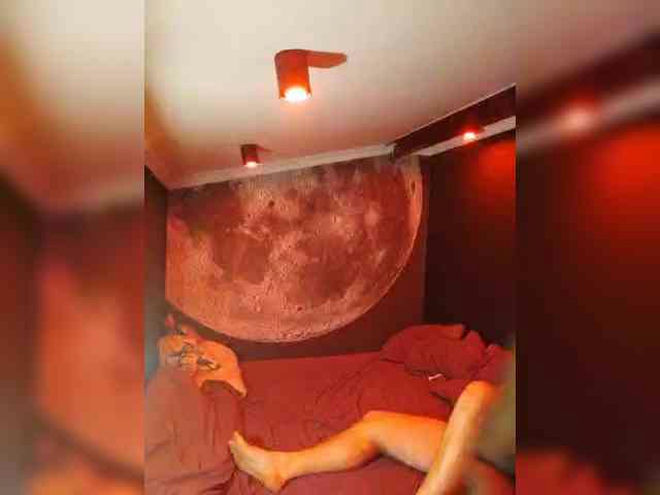 WILD-love-WILD live webcam preview